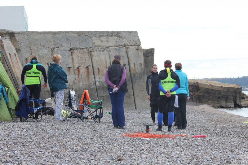 Фотография № 245280