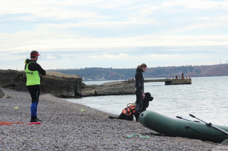 Фотография № 245281