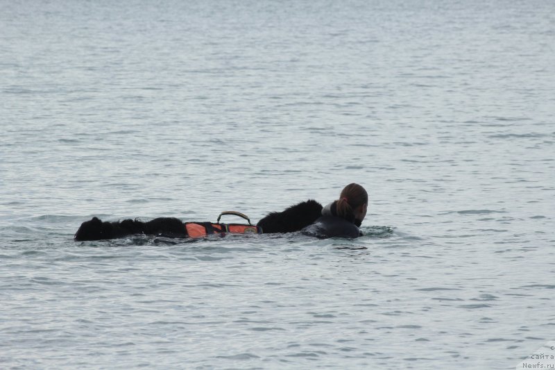 Фотография № 245282