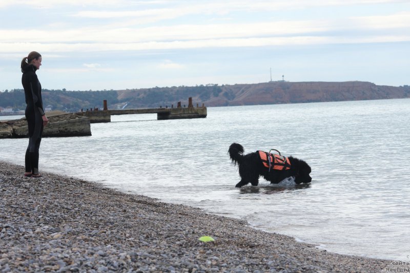 Фотография № 245285