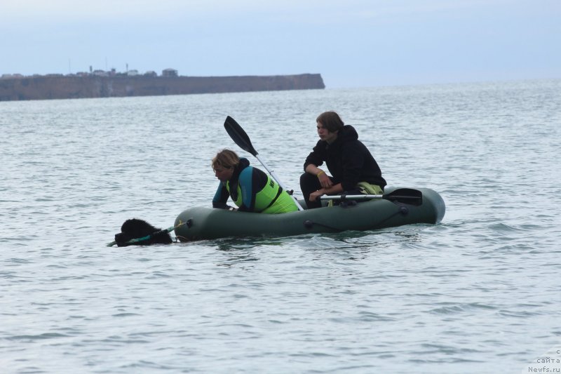 Фотография № 245287