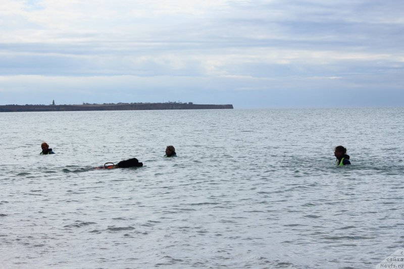 Фотография № 245288