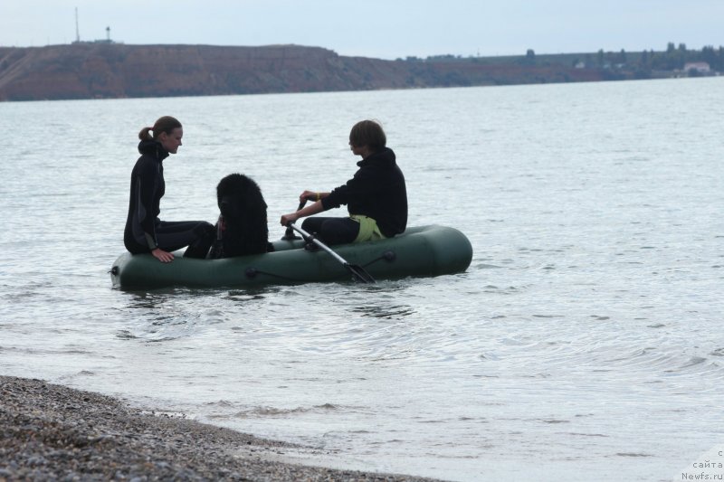 Фотография № 245290