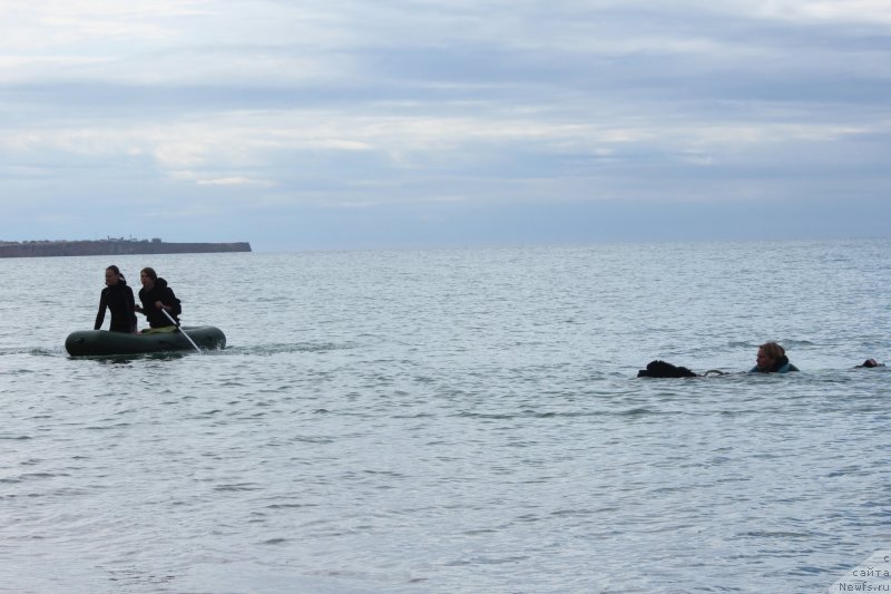 Фотография № 245293