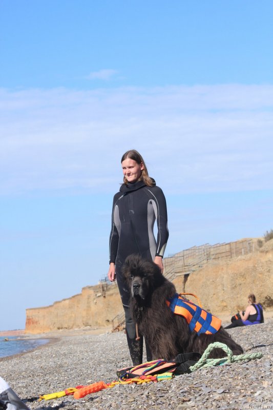 Фотография № 245305