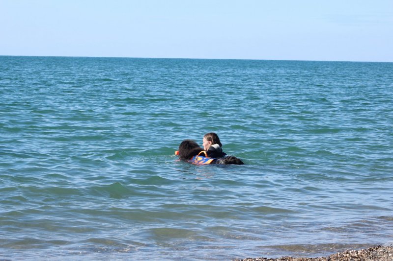 Фотография № 245307