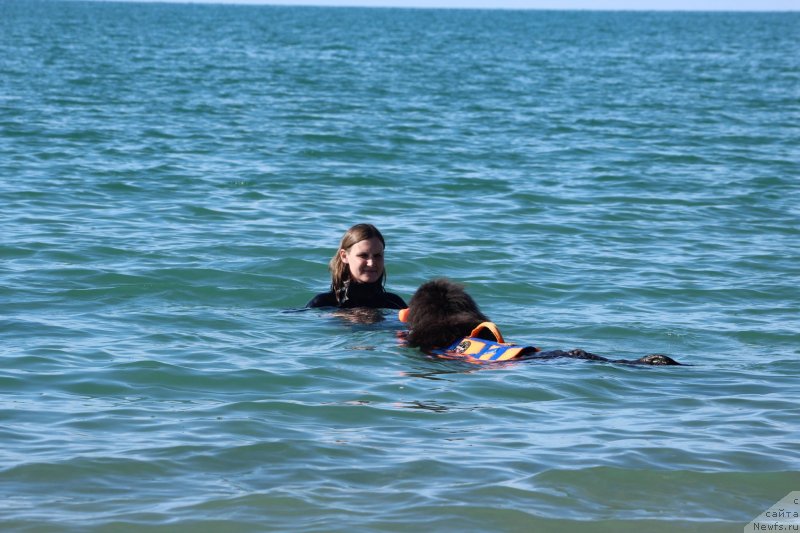 Фотография № 245312