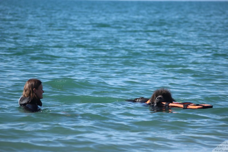 Фотография № 245314