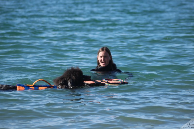 Фотография № 245316