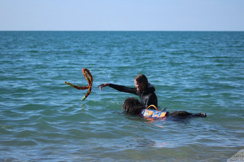 Фотография № 245317