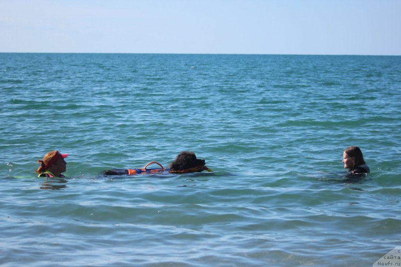 Фотография № 245320