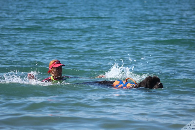 Фотография № 245323