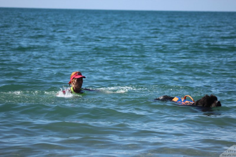 Фотография № 245324