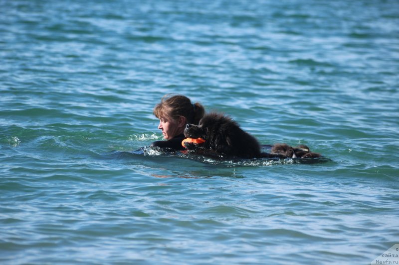 Фотография № 245328