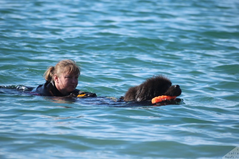 Фотография № 245331