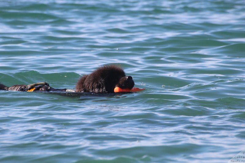 Фотография № 245333