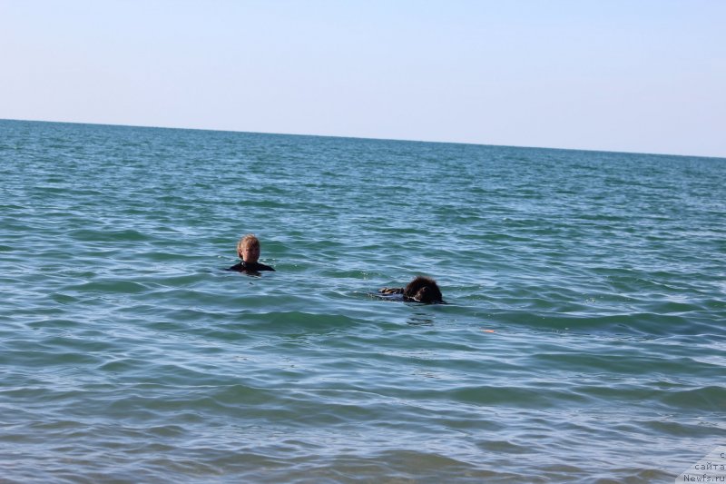 Фотография № 245335