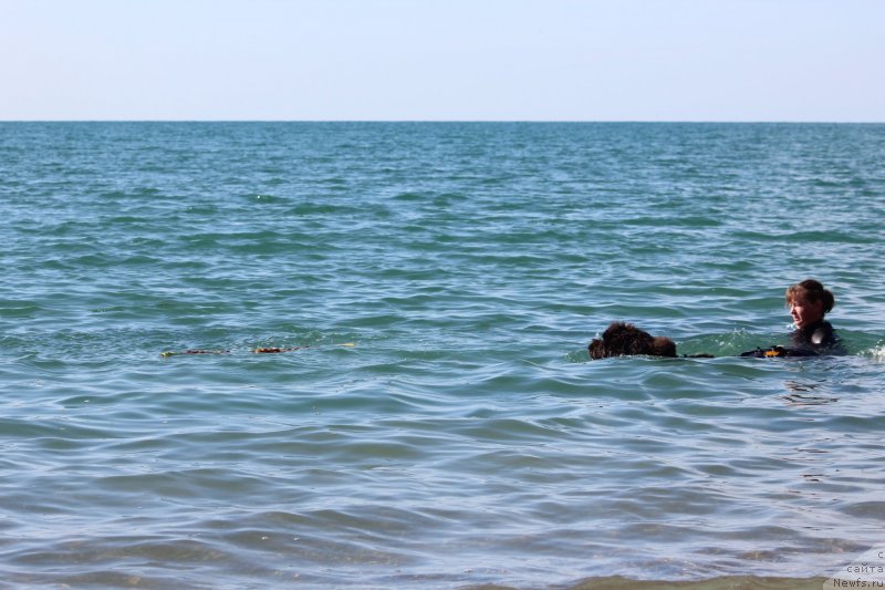 Фотография № 245336