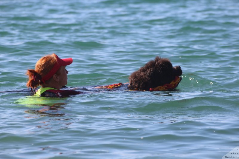 Фотография № 245337