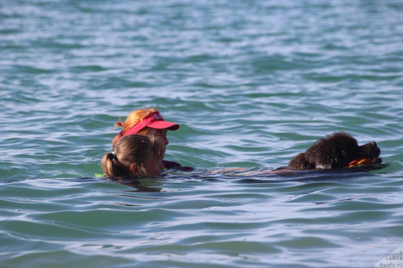 Фотография № 245339