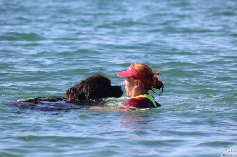 Фотография № 245341