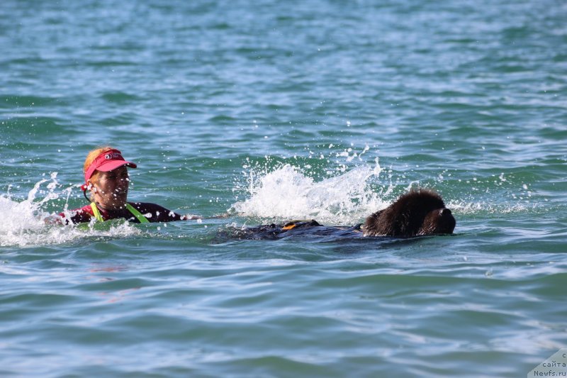 Фотография № 245342