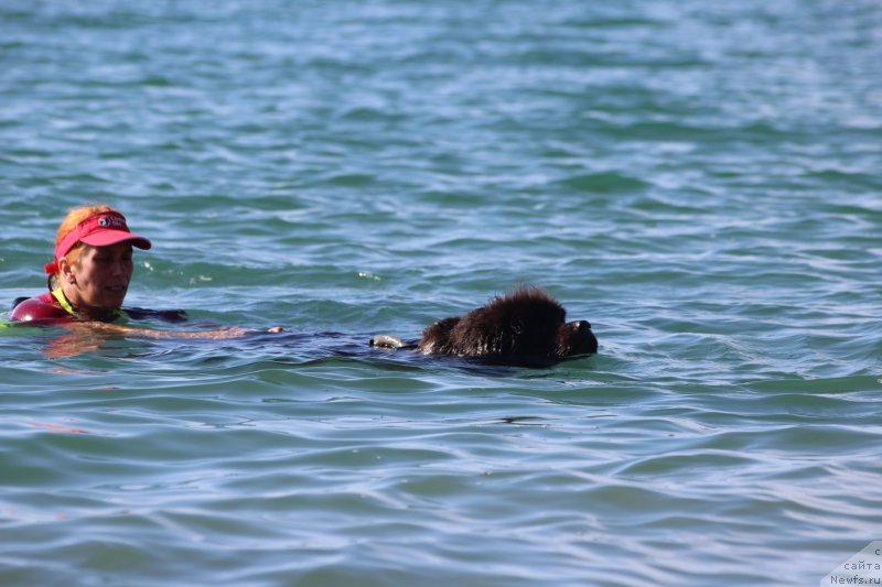 Фотография № 245343