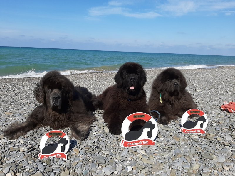 Фотография № 245344