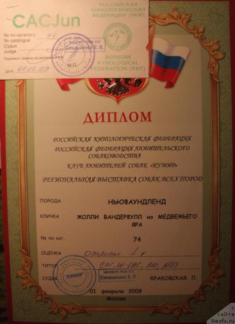 Фотография № 24535