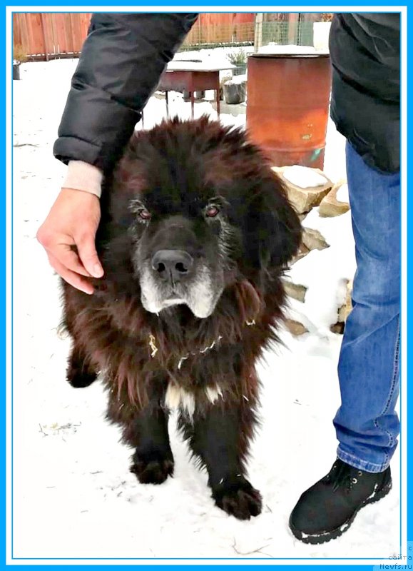 Фотография № 245352