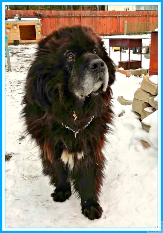 Фотография № 245353