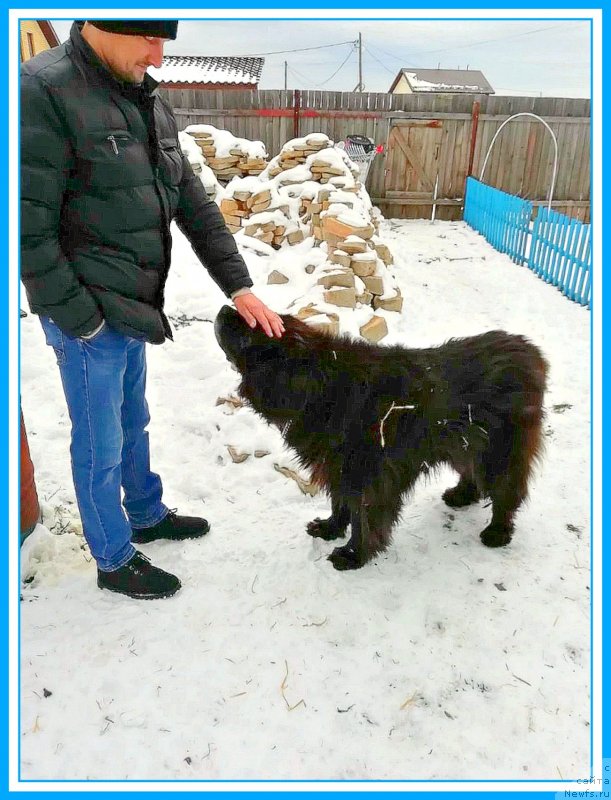 Фотография № 245354