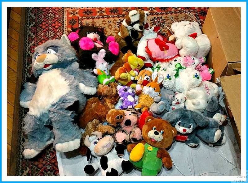 Фотография № 245355