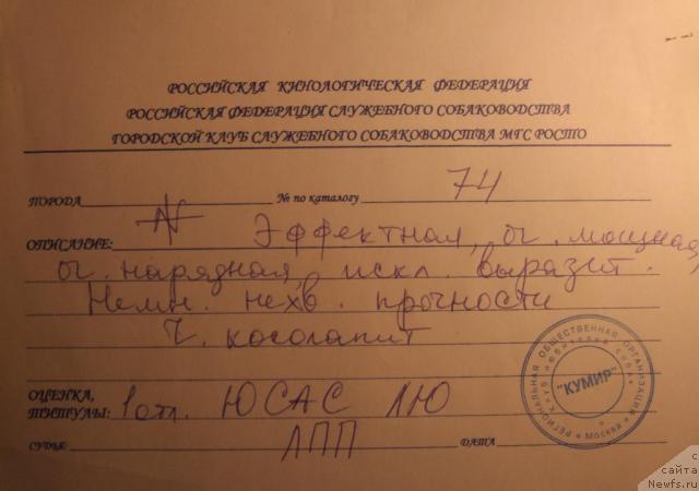 Фотография № 24536