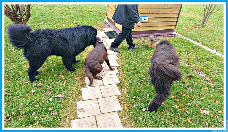 Фотография № 245360