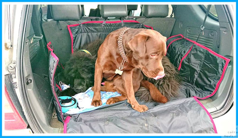 Фотография № 245362