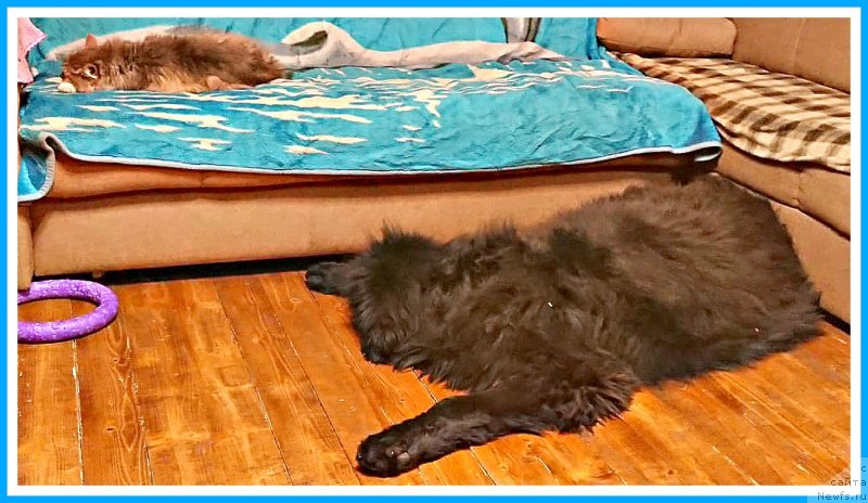 Фотография № 245363