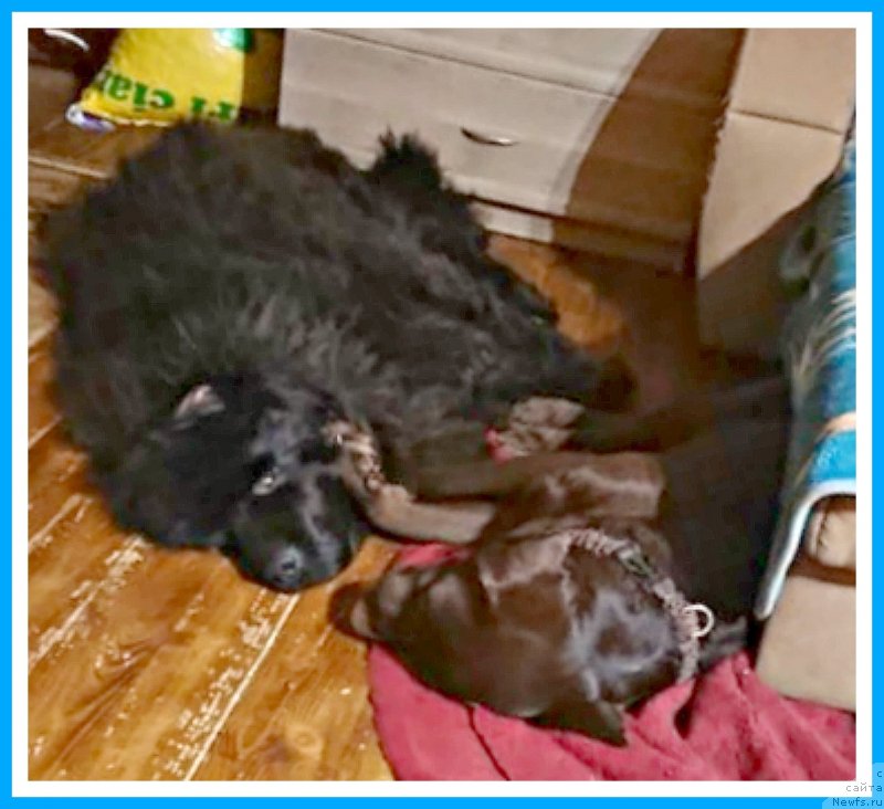 Фотография № 245365