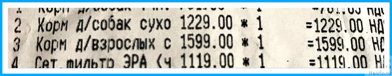 Фотография № 245369