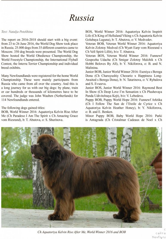 Фотография № 245384