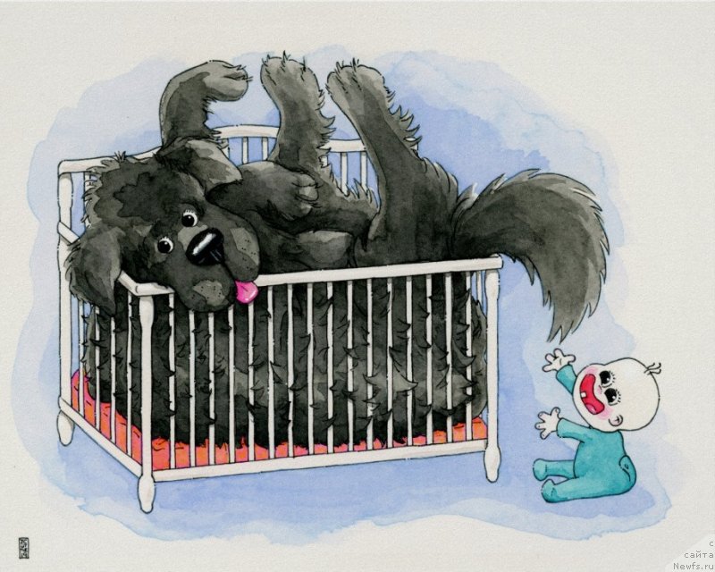 Фотография № 245396