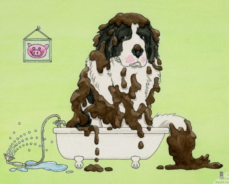 Фотография № 245397