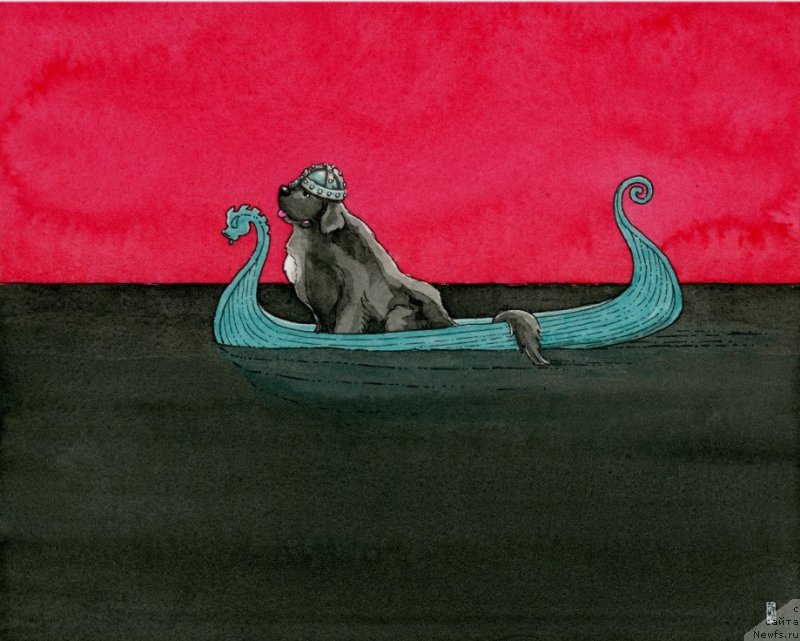 Фотография № 245401