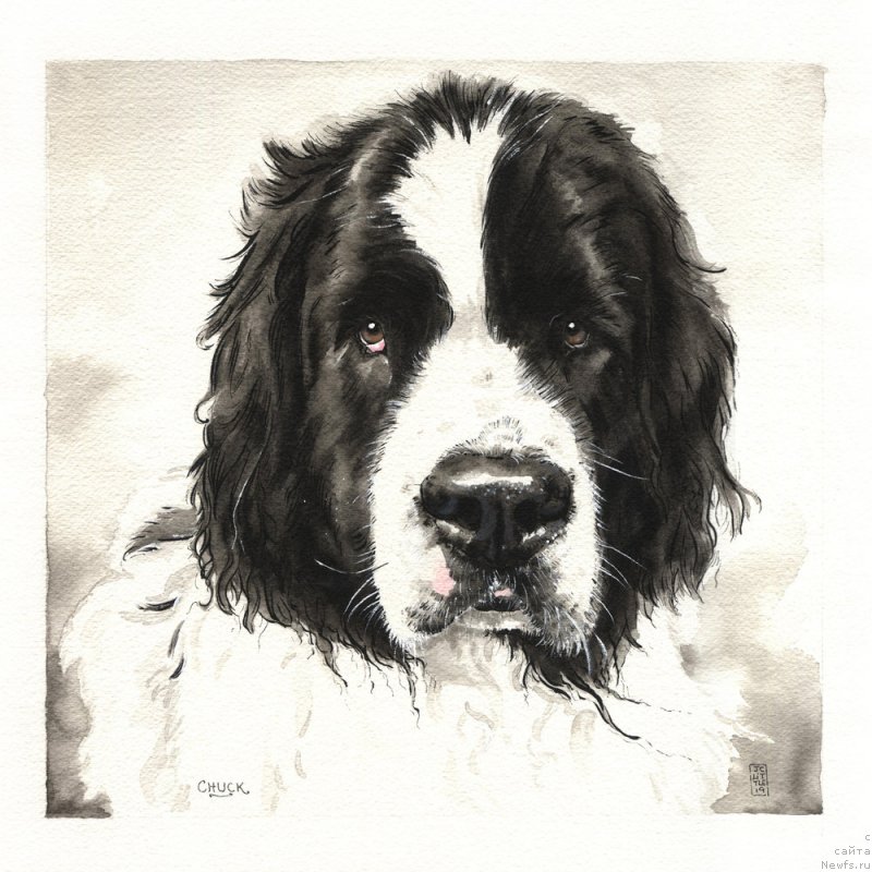 Фотография № 245405