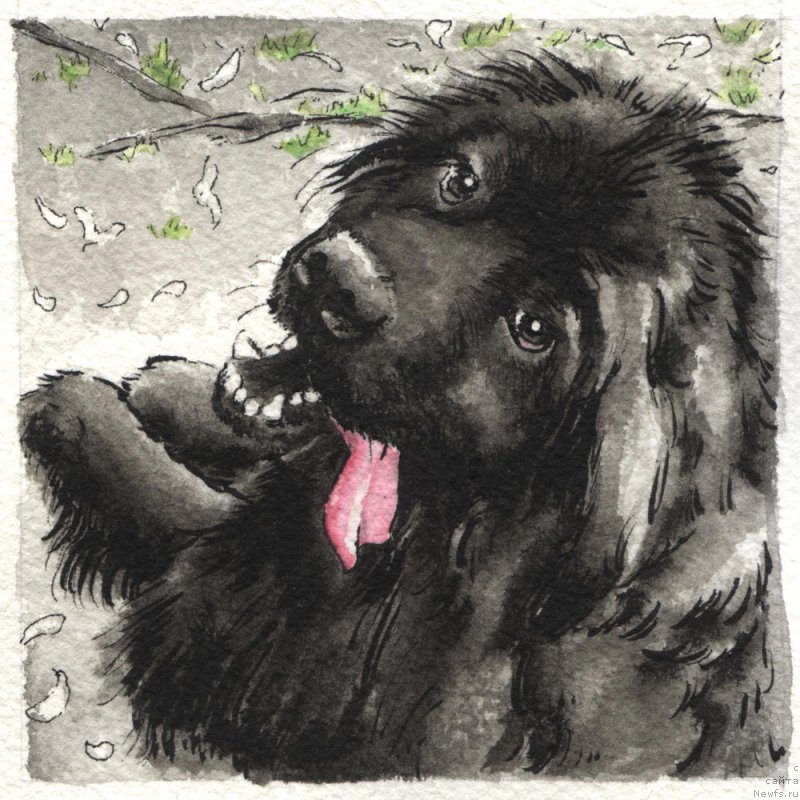 Фотография № 245409