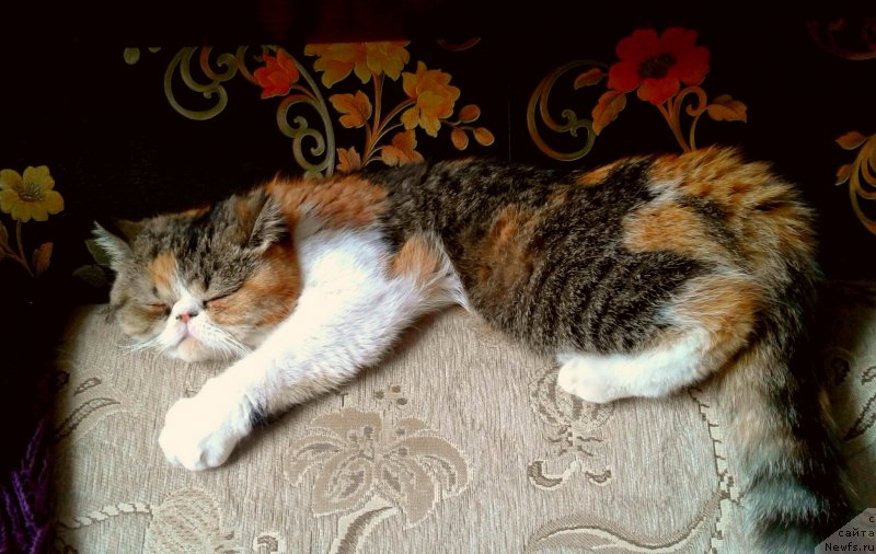 Фото: Евгений Степанов