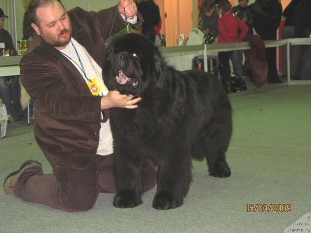 Фотография № 24546