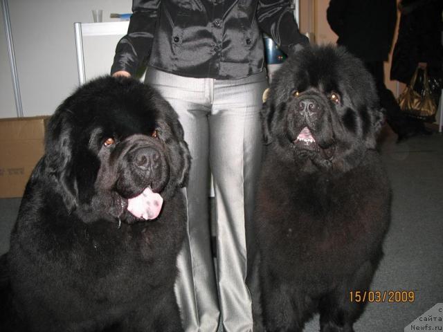 Фотография № 24547