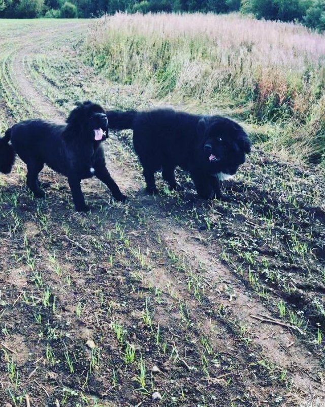 Фотография № 245476