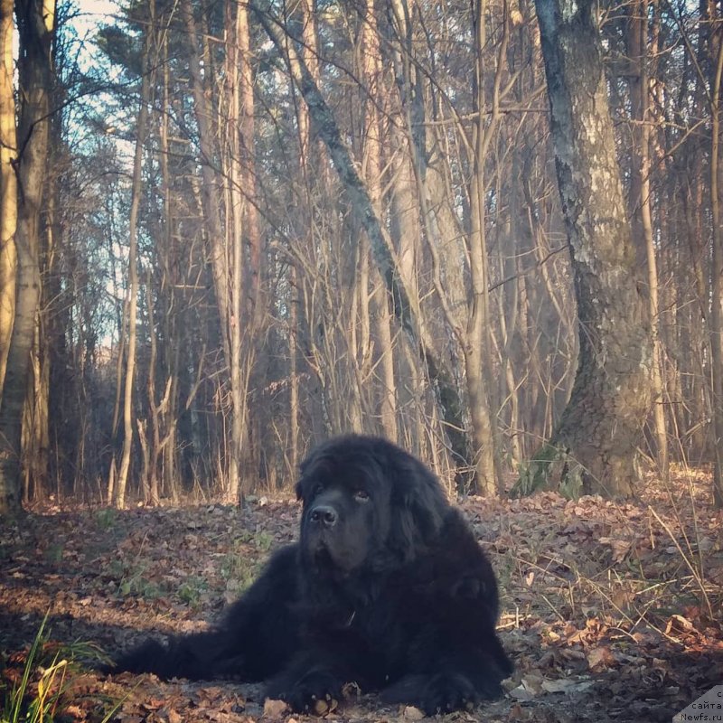 Фотография № 245485